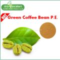 Green Coffee Bean p.e.